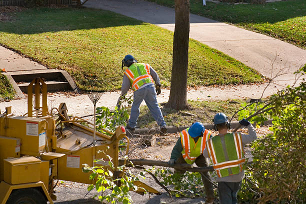 Best Commercial Tree Services  in Prairieville, LA